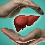 can the liver heal itself