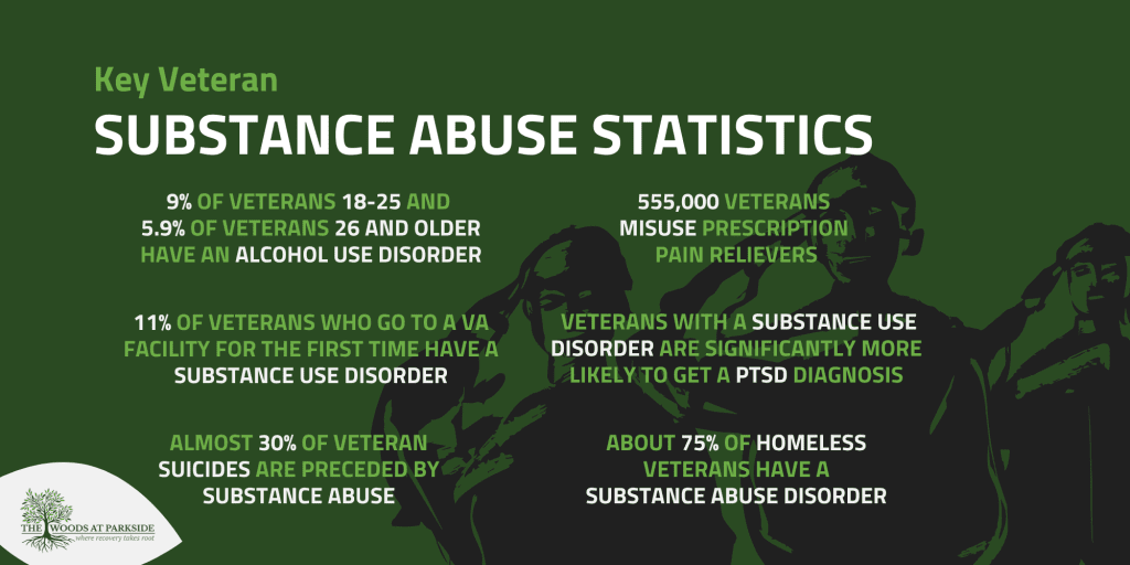 Veteran Substance Abuse Statistics infographic